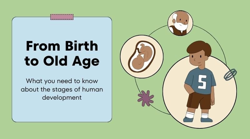 Nurturing Young Minds: Key Stages in Child Development Child development is a complex and fascinating journey that every young mind undertakes. It’s a process that involves physical, cognitive, emotional, and social growth, all of which happen at different stages throughout childhood. Understanding these key stages is essential for parents, educators, and caregivers who play a crucial role in nurturing young minds. This article will explore the major milestones in child development, providing insights into how children grow and how we can best support them during each phase. The Importance of Understanding Child Development Child development is more than just a sequence of milestones; it’s a dynamic process where children acquire new skills and abilities. By understanding these stages, we can better support their growth, identify any potential developmental delays, and provide the right environment to foster healthy development. Moreover, recognizing the signs of typical development helps in guiding expectations and interactions with children, ensuring that they receive the encouragement and support needed to thrive. The Key Stages of Child Development Child development is typically divided into several key stages, each characterized by specific physical, cognitive, emotional, and social milestones. While every child is unique and may develop at their own pace, these stages provide a general framework for understanding how children grow and change over time. 1. Infancy (0-2 Years) Infancy is a period of rapid growth and development. During the first two years of life, babies go through significant physical changes, including gaining control over their motor skills, such as crawling, sitting, standing, and eventually walking. Their senses also become more refined, and they begin to recognize familiar faces, sounds, and objects. Cognitively, infants start to explore the world around them using their senses. They learn to understand basic concepts such as object permanence, which is the realization that objects continue to exist even when they are out of sight. Language development begins in this stage, with babies starting to babble, understand simple words, and eventually say their first words. Emotionally and socially, infants form strong attachments to their caregivers. This bond is crucial for their emotional development, as it provides a sense of security and trust. Infants also start to express their emotions more clearly, showing joy, anger, fear, and curiosity. 2. Toddlerhood (2-3 Years) Toddlerhood is marked by increased independence and exploration. Children in this stage become more physically active, mastering skills like running, climbing, and jumping. Their fine motor skills also improve, allowing them to do tasks such as stacking blocks, drawing simple shapes, and using utensils. Cognitive development during toddlerhood involves significant language growth. Toddlers begin to form short sentences, follow simple instructions, and engage in pretend play. Their understanding of the world expands as they learn to categorize objects, recognize shapes and colors, and understand cause-and-effect relationships. Emotionally, toddlers experience a wide range of feelings and often struggle with managing them. This period is sometimes referred to as the "terrible twos" due to the frequent tantrums that arise from frustration and a desire for independence. Socially, toddlers start to interact more with other children, learning important skills like sharing, taking turns, and cooperating. 3. Early Childhood (3-6 Years) Early childhood is a time of continued growth and the development of more complex skills. Physically, children refine their motor abilities, gaining better coordination and balance. They can perform more intricate tasks like riding a tricycle, cutting with scissors, and dressing themselves. Cognitively, early childhood is marked by rapid language development. Children in this stage have a vocabulary that expands dramatically, and they can engage in more complex conversations. They also develop basic literacy and numeracy skills, such as recognizing letters, counting, and understanding simple concepts of time. Emotionally, children begin to develop a stronger sense of self. They start to understand their own emotions and those of others, which helps them in forming relationships. Socially, early childhood is characterized by increased interaction with peers, where they learn important social skills like empathy, cooperation, and conflict resolution. Play remains a crucial aspect of their development, serving as a way for them to explore the world and their role in it. 4. Middle Childhood (6-12 Years) Middle childhood is a period of steady growth and increased independence. Physically, children continue to grow in height and strength, and their motor skills become more refined. They are capable of participating in more complex physical activities, such as team sports, which also contribute to their social development. Cognitively, middle childhood is marked by the development of more advanced thinking and problem-solving abilities. Children start to think more logically and understand abstract concepts. Their academic skills improve, and they become more capable of focusing on tasks for longer periods. Emotionally, children in this stage begin to develop a stronger sense of identity and self-esteem. They start to compare themselves with others, which can impact their confidence. Socially, peer relationships become increasingly important. Friendships become more stable, and children learn to navigate social hierarchies, deal with peer pressure, and develop a sense of belonging. 5. Adolescence (12-18 Years) Adolescence is a period of significant physical, cognitive, emotional, and social changes as children transition into adulthood. Physically, adolescence is marked by puberty, which brings about rapid growth and the development of secondary sexual characteristics. This period also sees increased interest in body image and physical appearance. Cognitively, adolescents develop the ability to think more abstractly and critically. They begin to question established norms and values and are capable of more complex reasoning. This is also the stage where they start to consider future goals and aspirations, such as career choices and personal values. Emotionally, adolescence is often characterized by heightened emotions and mood swings due to hormonal changes and the search for identity. Adolescents begin to form a clearer sense of who they are and what they stand for, which can lead to conflicts with parents and authority figures as they assert their independence. Socially, peer relationships take on a central role in adolescents' lives. Friendships and romantic relationships become more significant, and the influence of peers on behavior and decision-making increases. Adolescents also start to develop a greater awareness of social issues and may become more involved in activism or community activities. How to Support Children at Each Stage Supporting children through each stage of development involves providing them with the right environment, opportunities, and guidance to help them grow and thrive. Here are some tips for nurturing young minds at each stage: Infancy: Provide a safe and stimulating environment with plenty of opportunities for exploration. Respond to your baby's needs promptly to build trust and security. Engage in activities that promote sensory development, such as playing with soft toys, singing, and reading aloud. Toddlerhood: Encourage independence while setting clear boundaries. Provide opportunities for physical activity and play, which are essential for motor skill development. Support language development by talking to your child, reading together, and engaging in pretend play. Early Childhood: Foster creativity and imagination through play and hands-on activities. Encourage social interaction with peers and teach basic social skills like sharing and taking turns. Support early literacy and numeracy skills through reading, counting games, and puzzles. Middle Childhood: Provide opportunities for physical activity, both through play and organized sports. Encourage academic growth by supporting homework and fostering a love of learning. Help your child develop a positive self-image by praising their efforts and accomplishments. Adolescence: Support your child's growing independence while maintaining open communication. Encourage critical thinking and decision-making skills. Be a source of guidance as they navigate social relationships and identity formation, and help them set and work towards personal goals. FAQs About Child Development 1. What are the key stages of child development? Child development is typically divided into five key stages: infancy (0-2 years), toddlerhood (2-3 years), early childhood (3-6 years), middle childhood (6-12 years), and adolescence (12-18 years). 2. How can I support my child's development? Support your child's development by providing a safe and stimulating environment, encouraging exploration and play, fostering social interactions, and being responsive to their needs. Tailor your support to their specific developmental stage. 3. What should I do if I notice a developmental delay? If you notice that your child is not reaching developmental milestones typical for their age, it’s important to consult with a pediatrician or child development specialist. Early intervention can help address any potential issues and support your child’s growth. 4. How important is play in child development? Play is essential for child development as it helps children learn about the world, develop social skills, and explore their creativity. It also supports physical, cognitive, and emotional growth. 5. When do children typically start talking? Children usually start saying their first words around 12 months of age. By the age of 2, most toddlers can form simple sentences, and their vocabulary expands rapidly during early childhood. 6. What role do parents play in a child's social development? Parents play a crucial role in a child's social development by modeling social behavior, teaching social skills, and providing opportunities for interaction with peers. Positive parent-child relationships also form the foundation for healthy social interactions. Conclusion Understanding the key stages of child development is essential for anyone involved in the care and nurturing of young minds. Each stage brings unique challenges and opportunities, and by being aware of these, we can provide the right support to help children grow into well-rounded individuals. As they progress from infancy to adolescence, our role as caregivers is to guide, encourage, and celebrate their achievements, ensuring they reach their full potential. By nurturing young minds, we lay the groundwork for a brighter, more promising future.